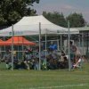 fasi-gioco_33